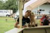 Jawa Treffen 2012 067