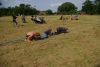 Jawa Treffen 2012 222