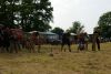 Jawa Treffen 2012 331