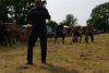 Jawa Treffen 2012 332