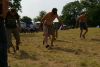 Jawa Treffen 2012 334