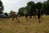 Jawa Treffen 2012 336