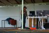 Jawa Treffen 2012 395